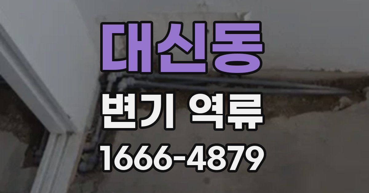 대신동 변기 역류
