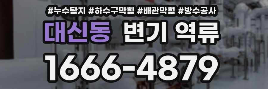 대신동 변기 역류