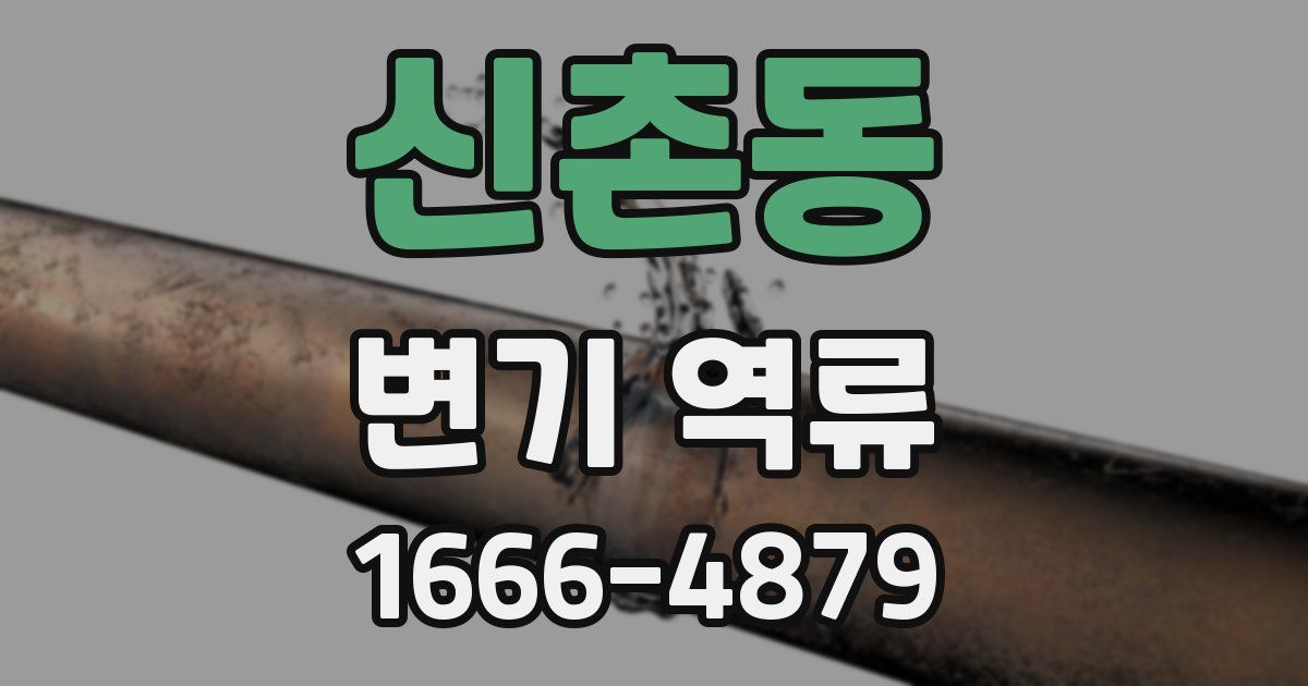 신촌동 변기 역류