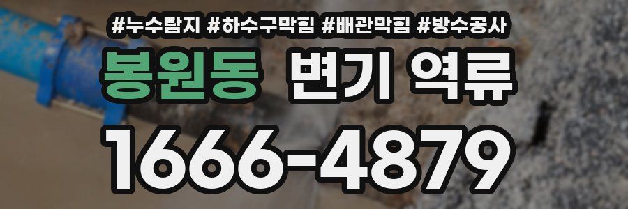 봉원동 변기 역류
