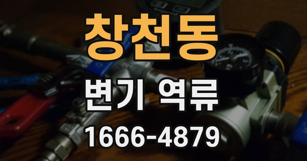 창천동 변기 역류