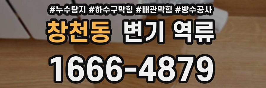 창천동 변기 역류