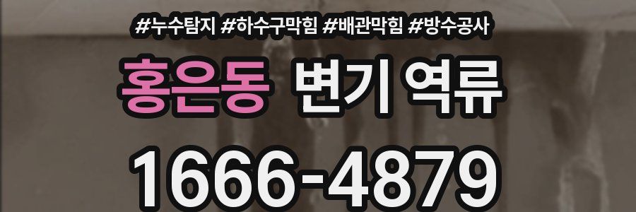 홍은동 변기 역류