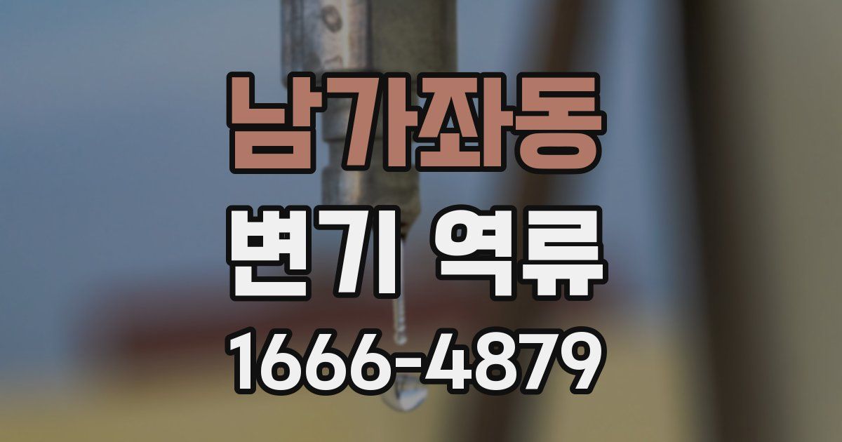 남가좌동 변기 역류