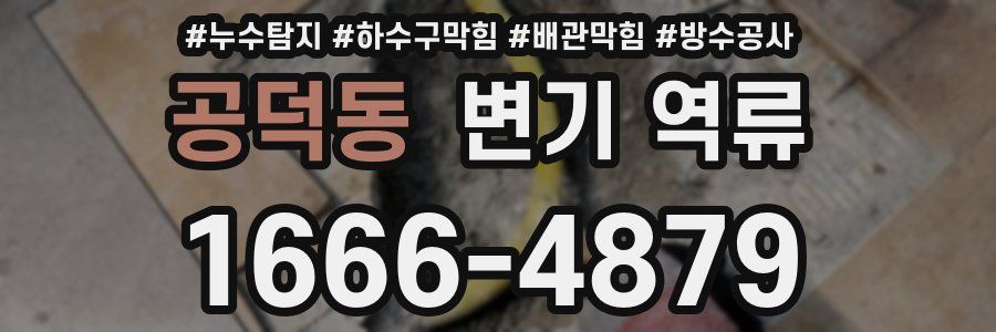 공덕동 변기 역류