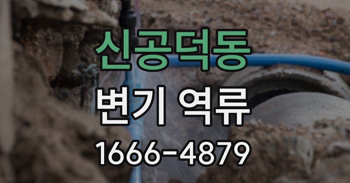 신공덕동 변기 역류