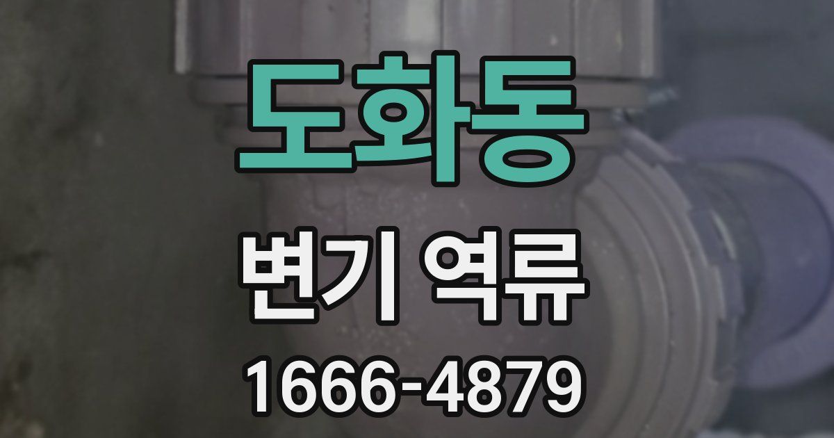 도화동 변기 역류