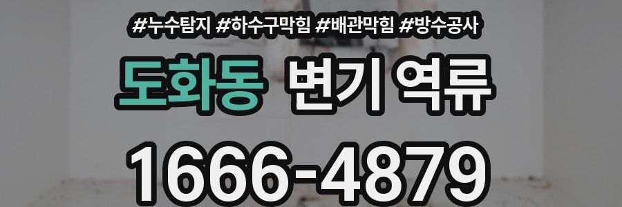 도화동 변기 역류