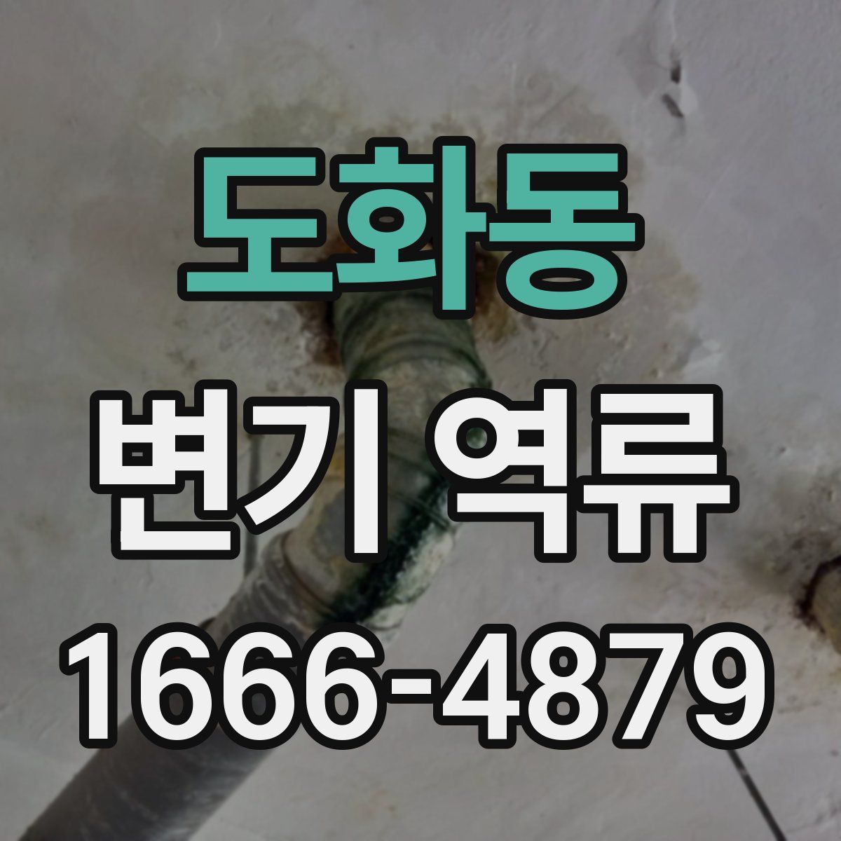 도화동 변기 역류