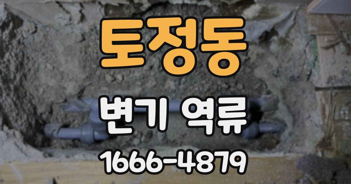 토정동 변기 역류