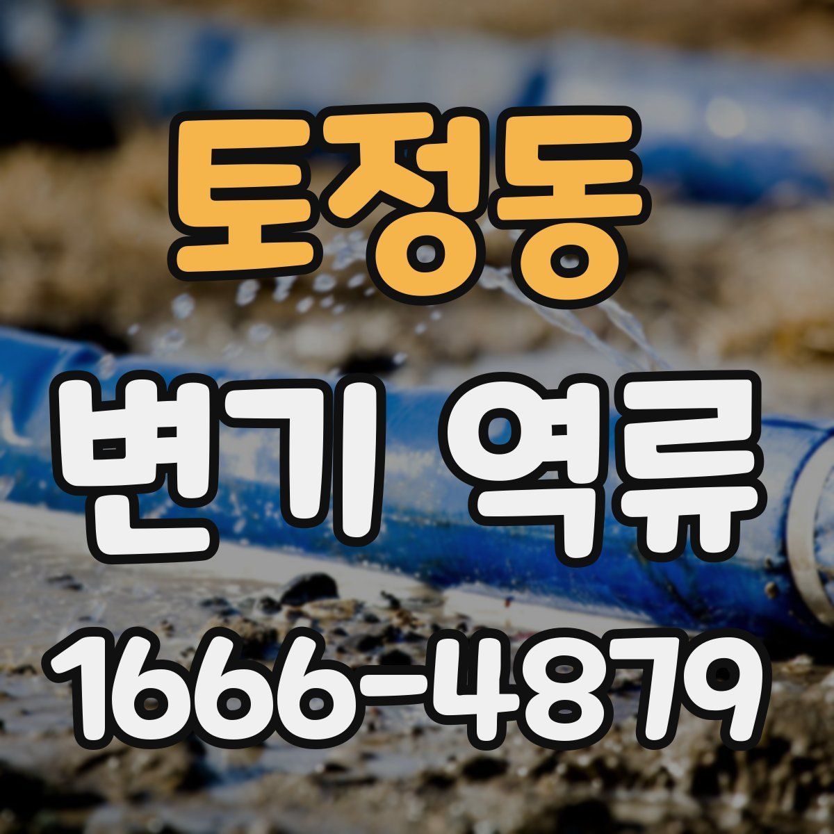 토정동 변기 역류