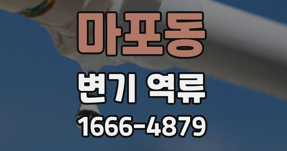 마포동 변기 역류