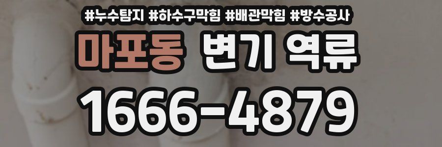 마포동 변기 역류