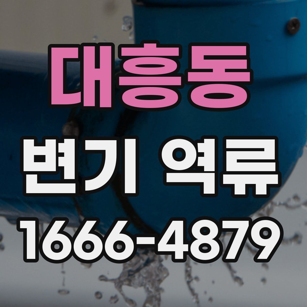 대흥동 변기 역류