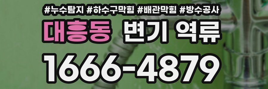대흥동 변기 역류