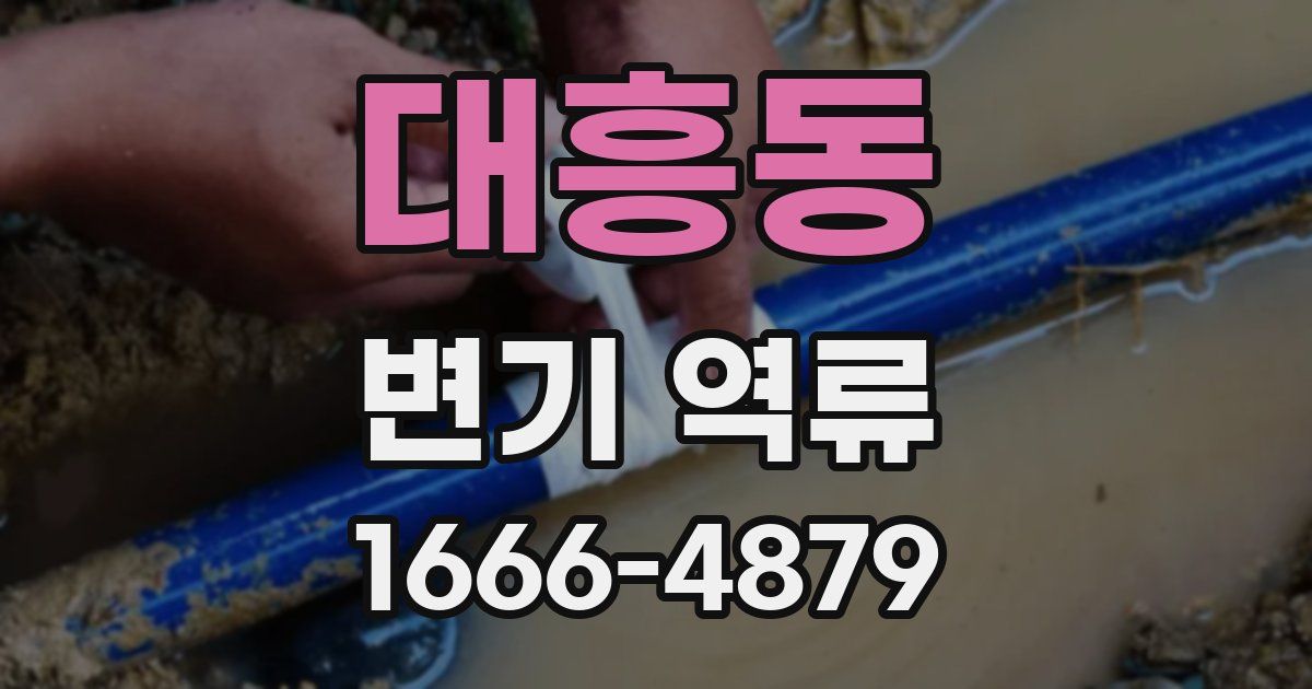 대흥동 변기 역류