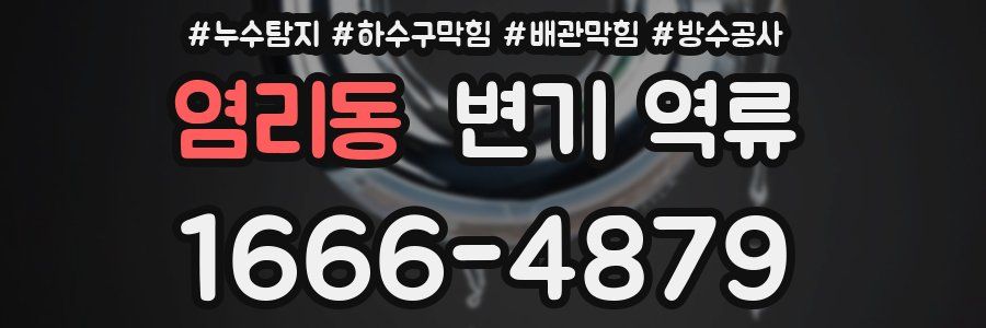 염리동 변기 역류