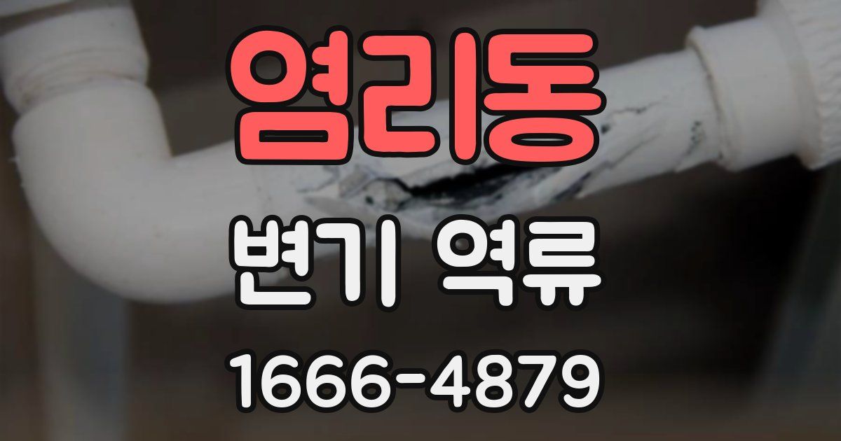 염리동 변기 역류