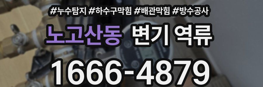 노고산동 변기 역류