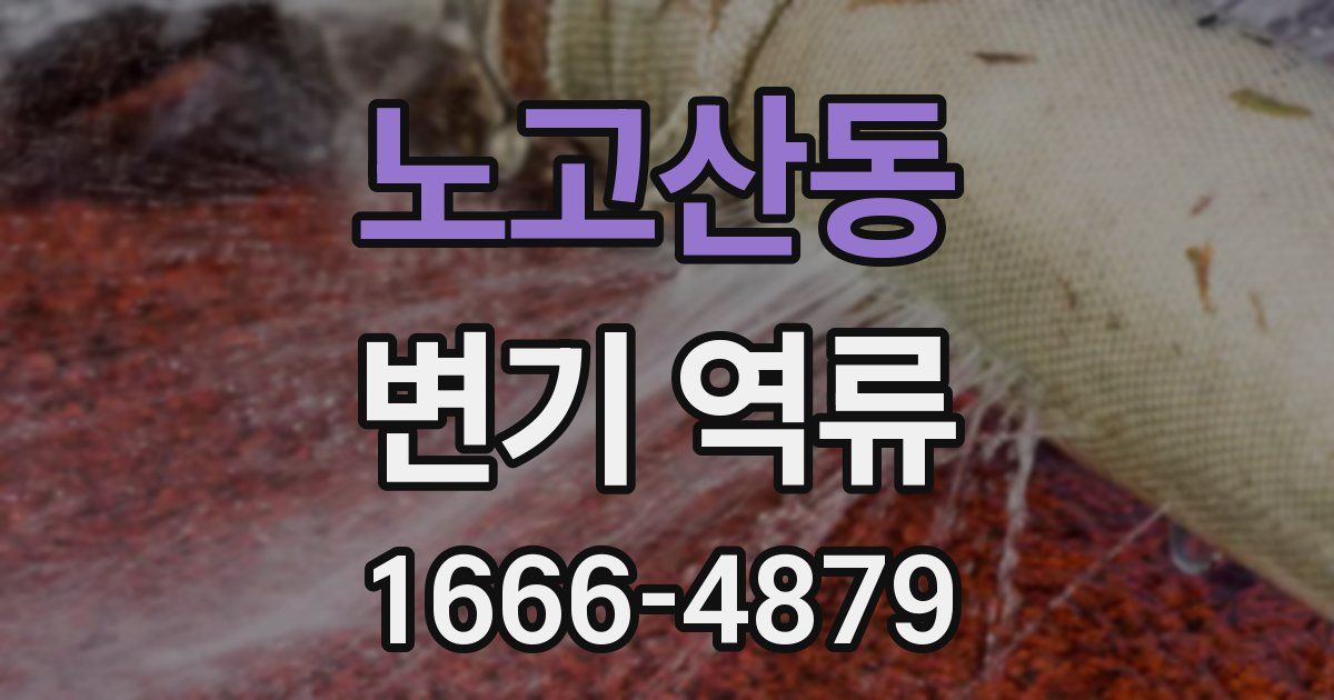 노고산동 변기 역류