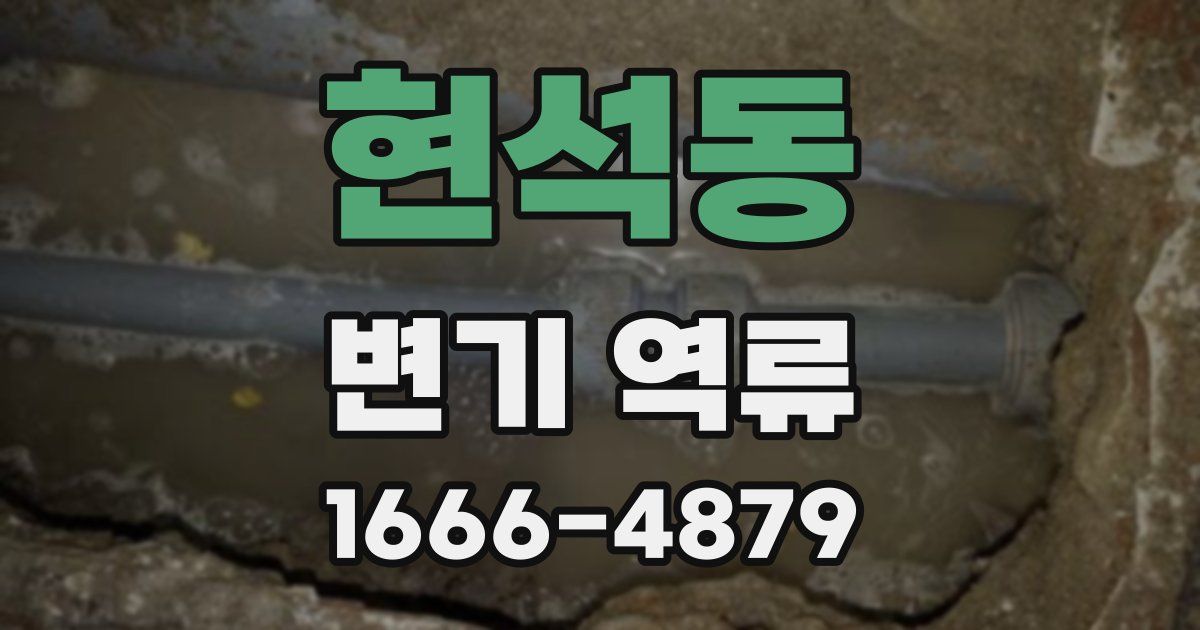 현석동 변기 역류