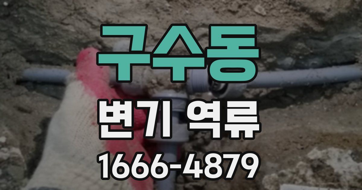 구수동 변기 역류