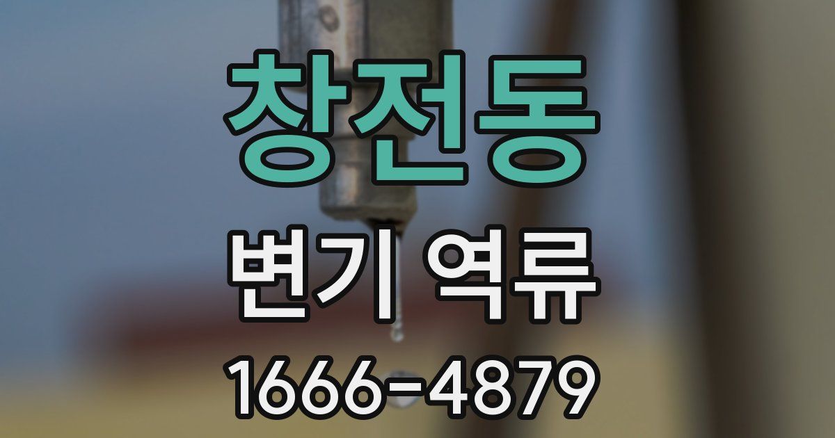 창전동 변기 역류