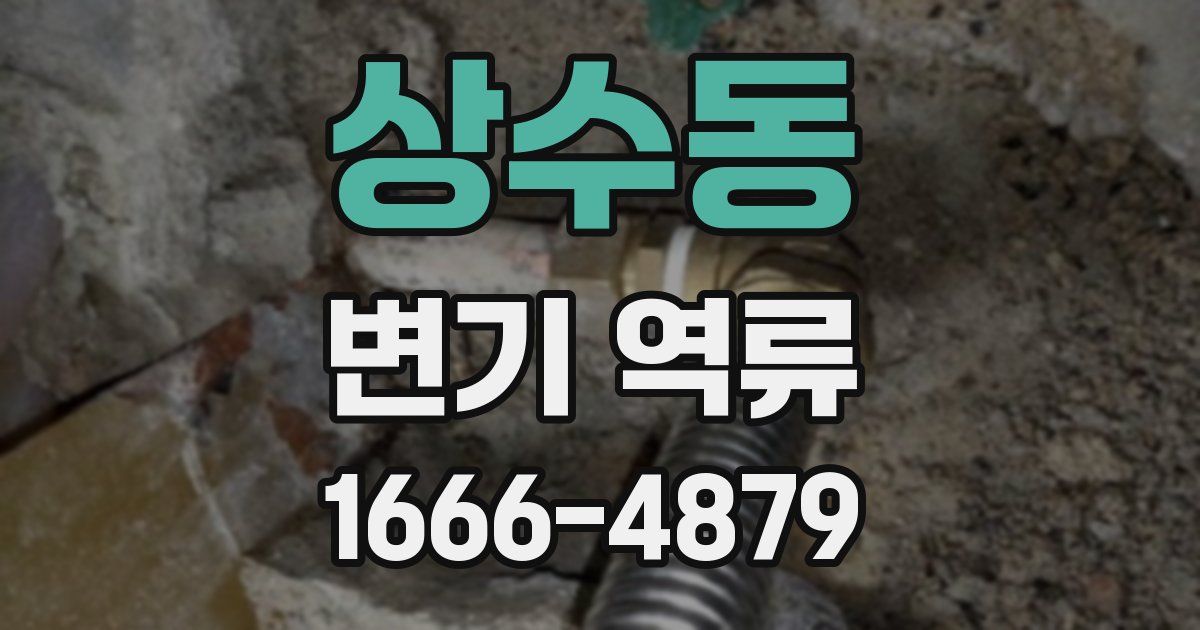 상수동 변기 역류