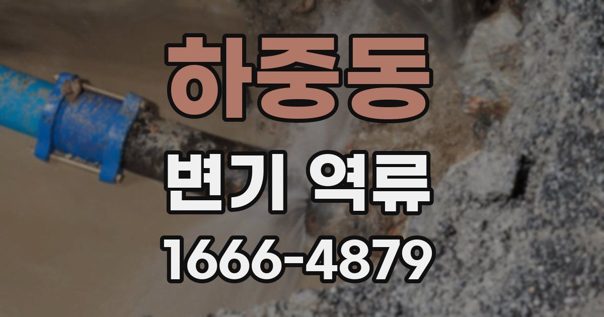 하중동 변기 역류