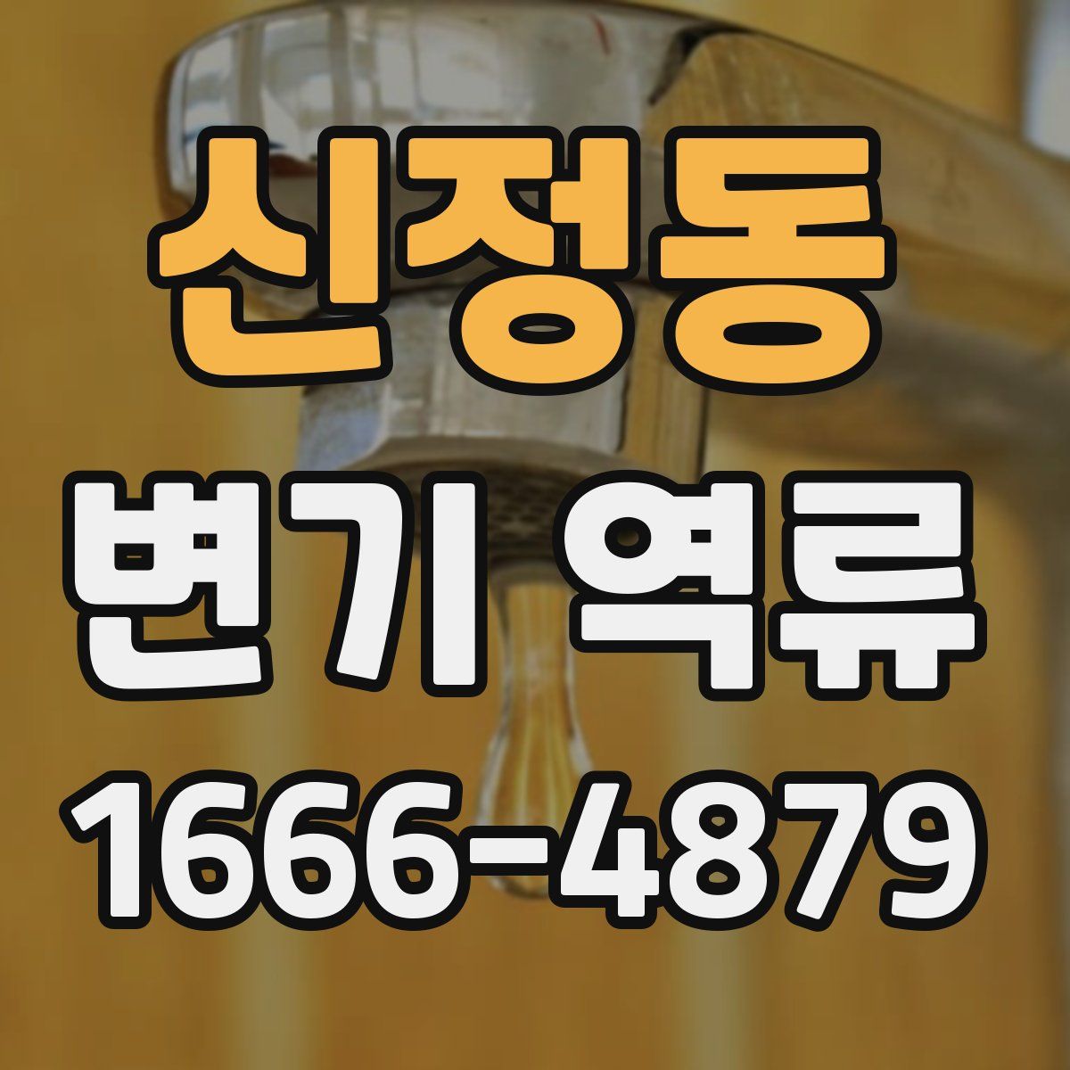신정동 변기 역류