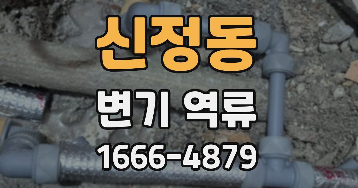 신정동 변기 역류