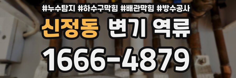 신정동 변기 역류