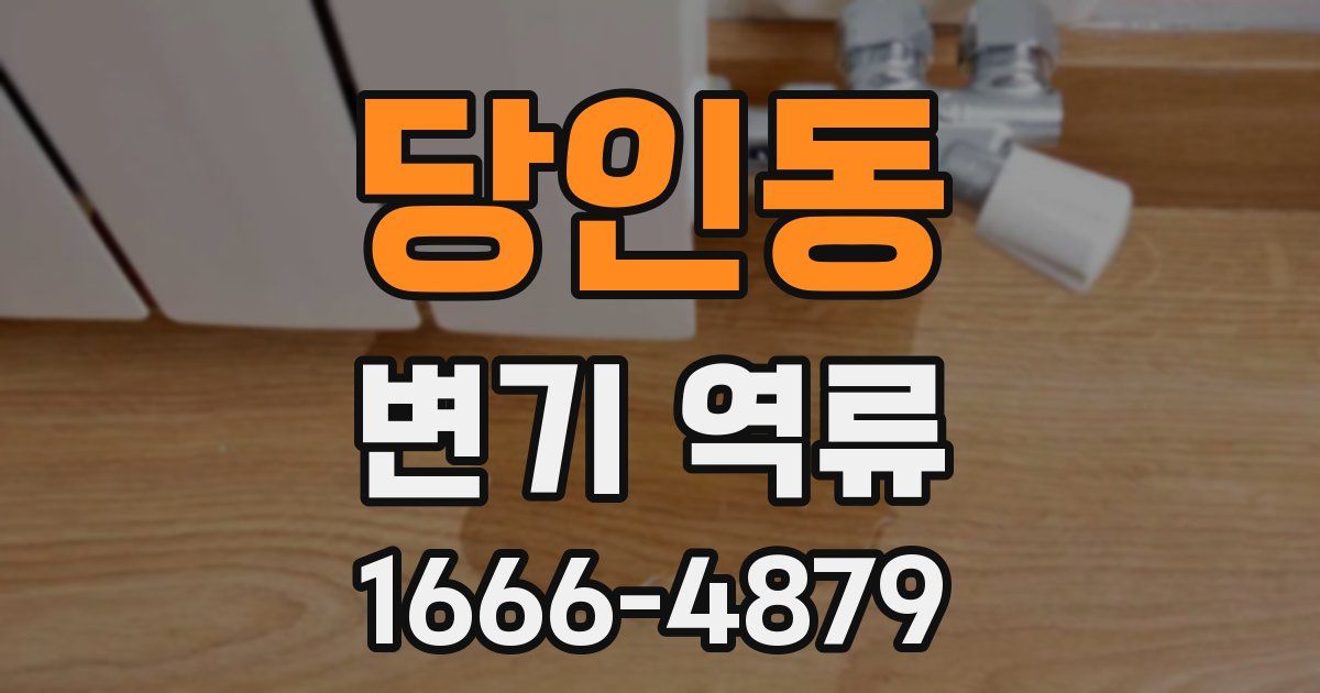 당인동 변기 역류
