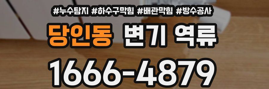 당인동 변기 역류