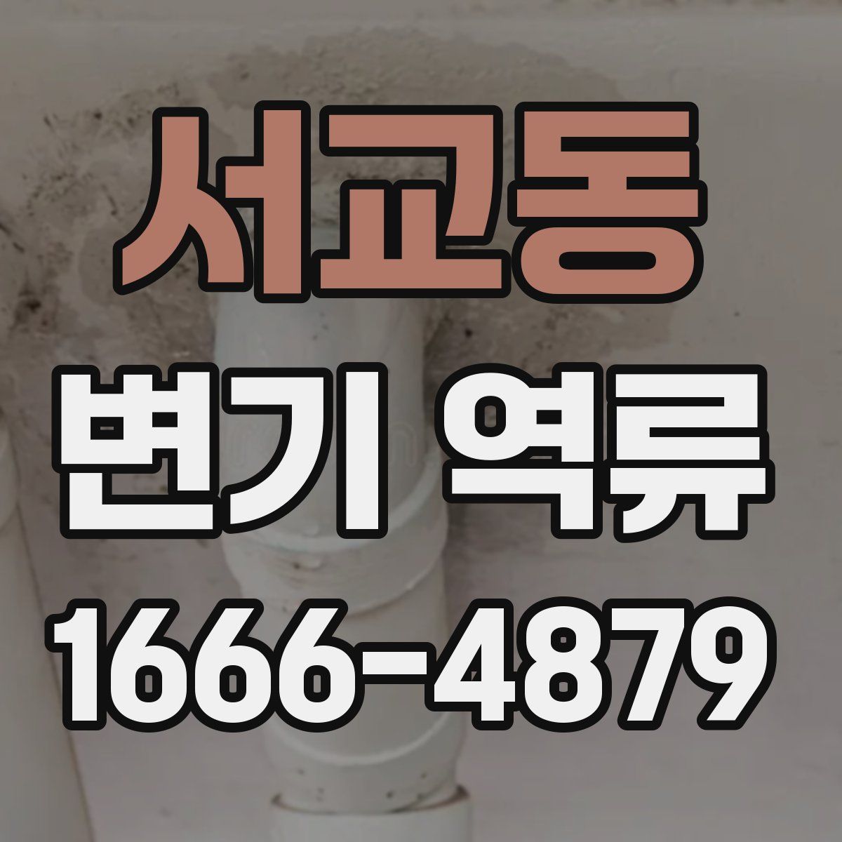 서교동 변기 역류
