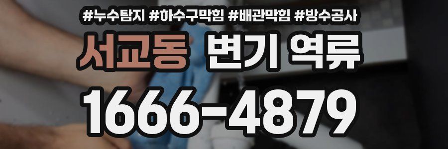 서교동 변기 역류