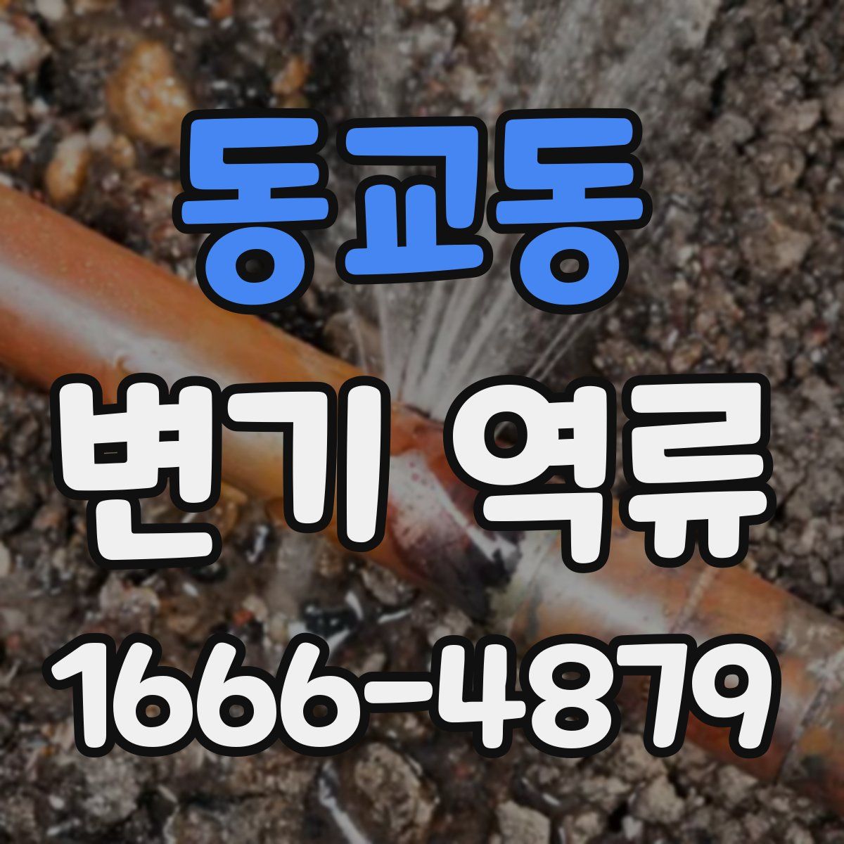 동교동 변기 역류