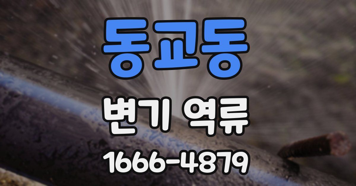 동교동 변기 역류