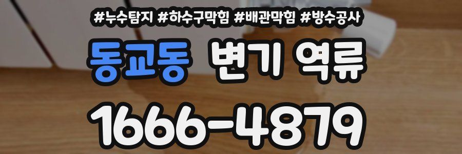 동교동 변기 역류