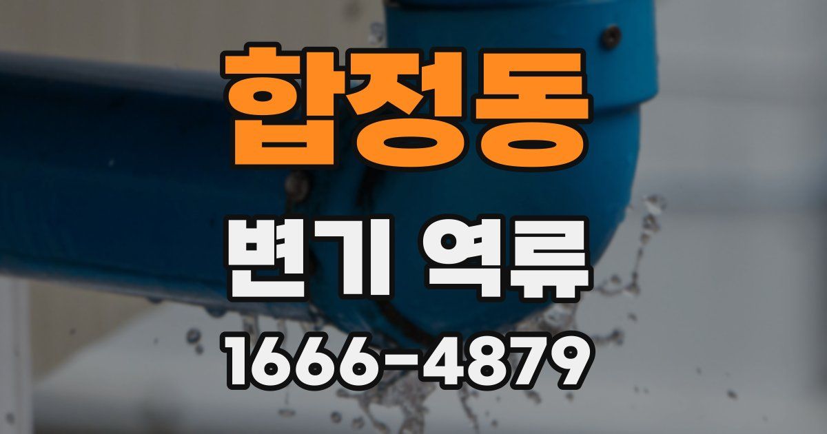 합정동 변기 역류