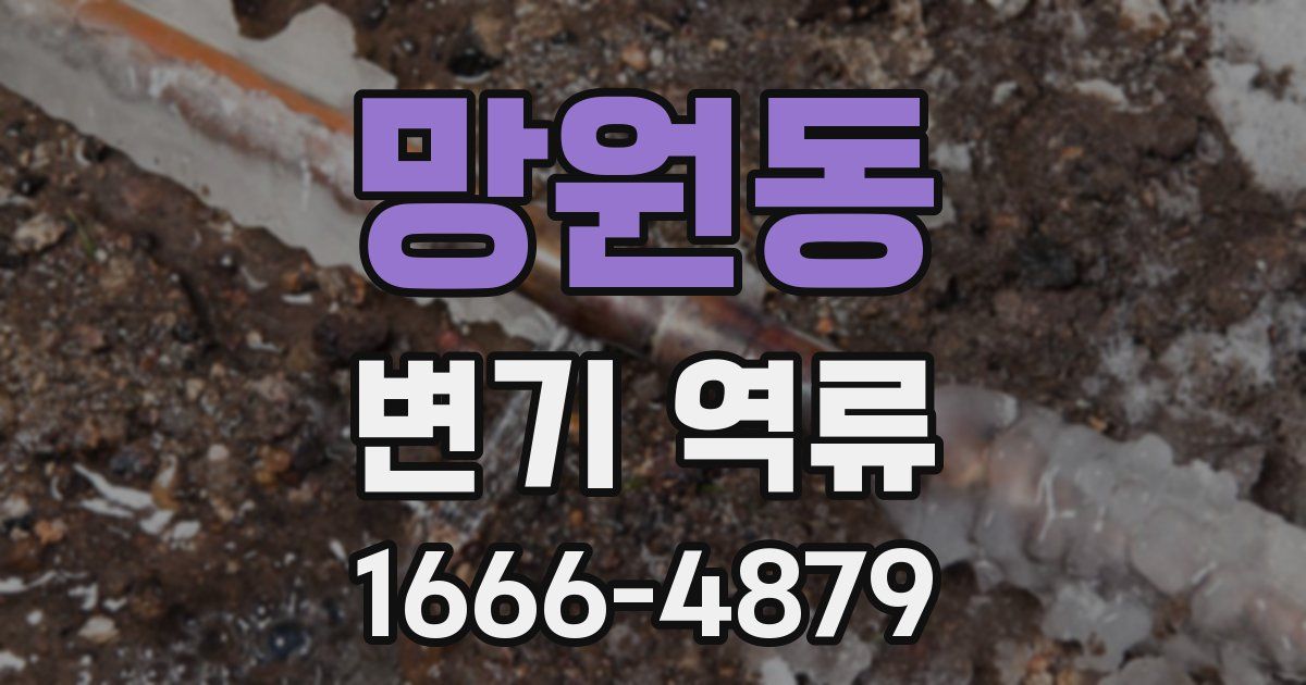 망원동 변기 역류