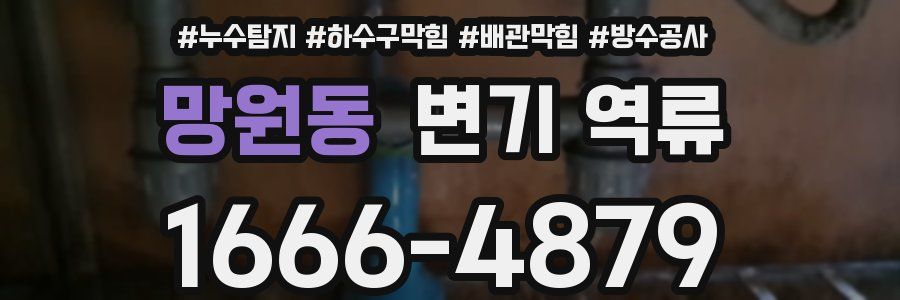 망원동 변기 역류