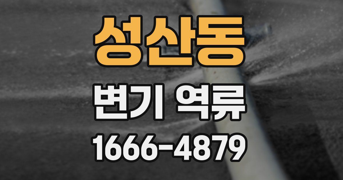 성산동 변기 역류