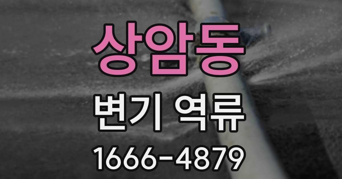 상암동 변기 역류