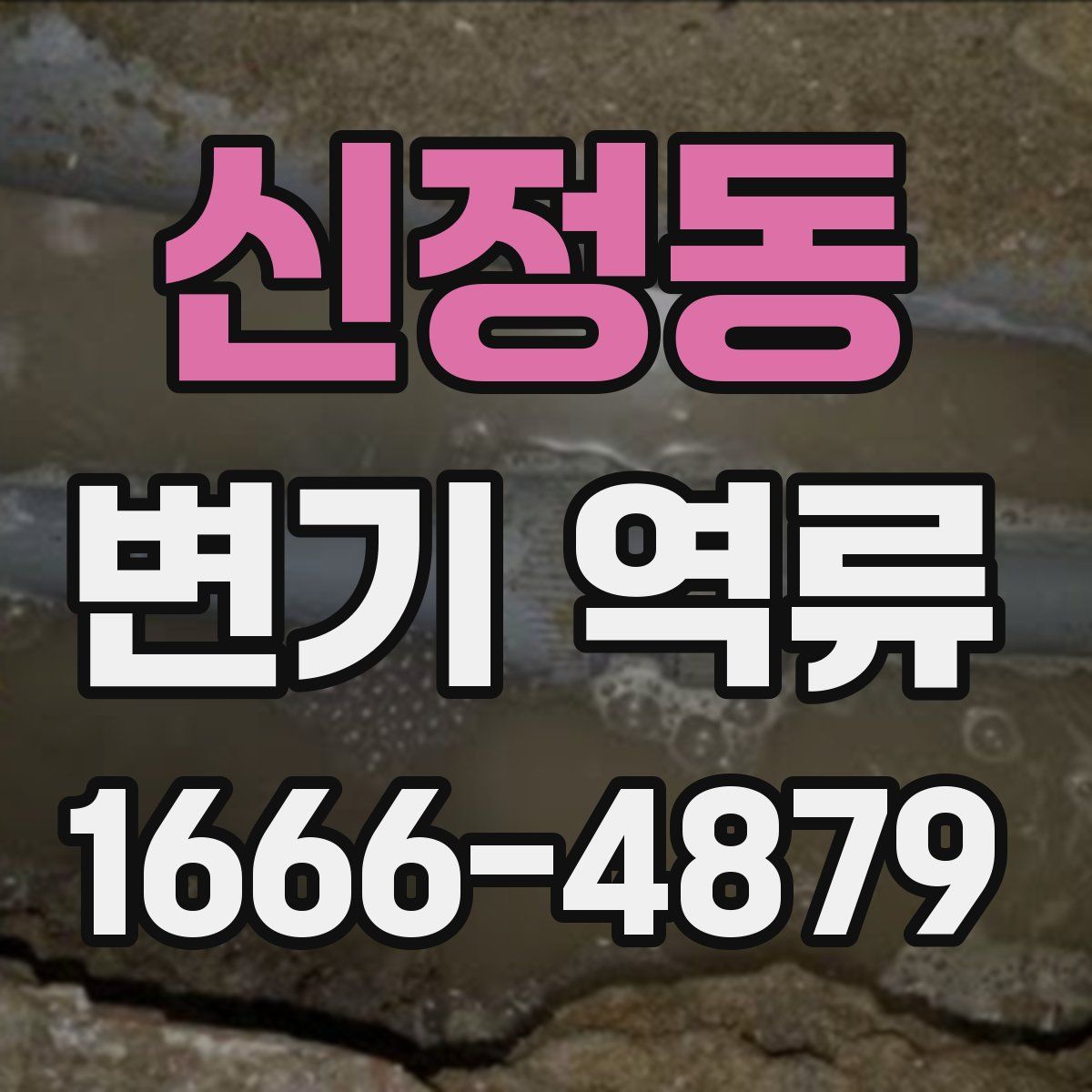 신정동 변기 역류