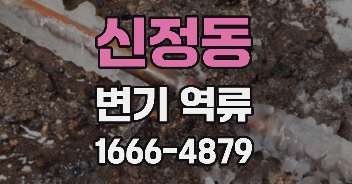 신정동 변기 역류