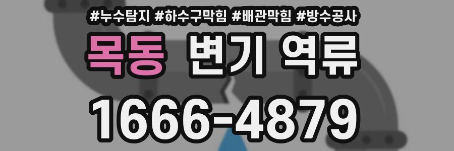 목동 변기 역류