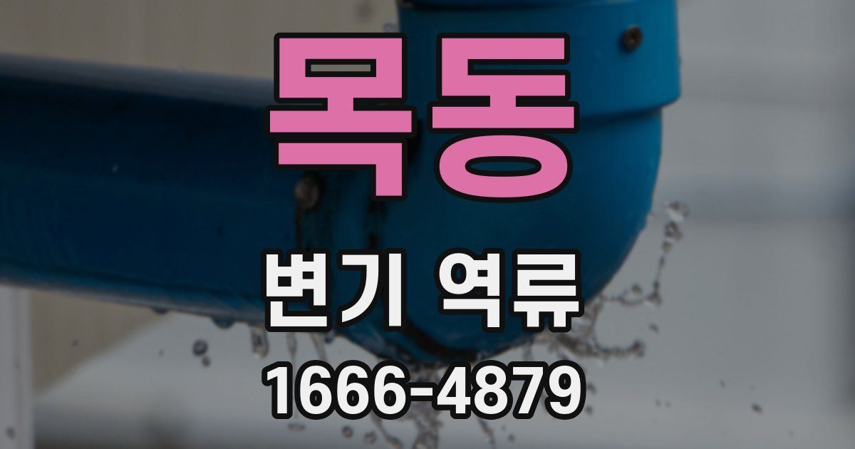목동 변기 역류
