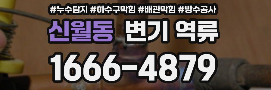 신월동 변기 역류