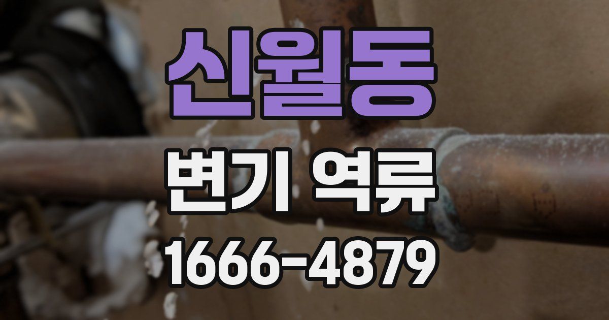 신월동 변기 역류